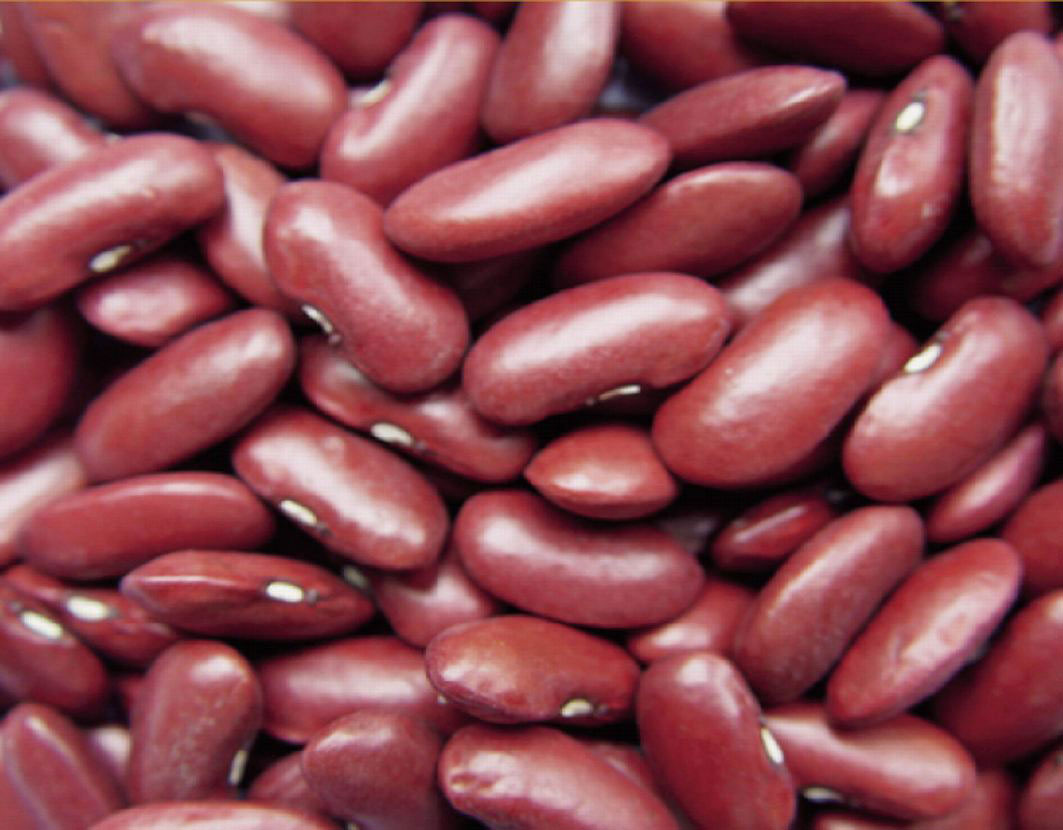 Dark Red Kidney Beans